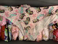 Image 1 of A Whole New World Knickers!