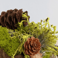 Image 3 of Zen Office