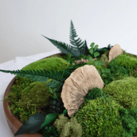 Image 1 of MossBowl