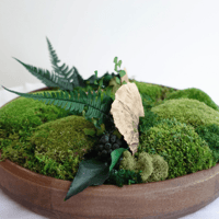 Image 2 of MossBowl