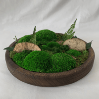 Image 3 of MossBowl