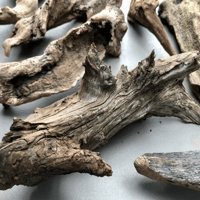 Image 2 of Freshwater Mix