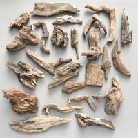 Image 3 of Freshwater Mix