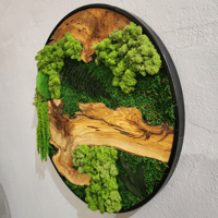 Image 3 of OliveMoss