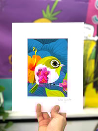 Image 1 of Japanese White-Eye Illustration Print