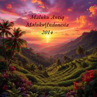 Maluku Antiq (2014 Wild Maluku)