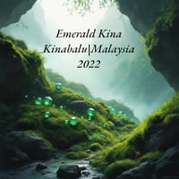 Image 1 of Emerald Kina (2022 Wild Kinabalu)