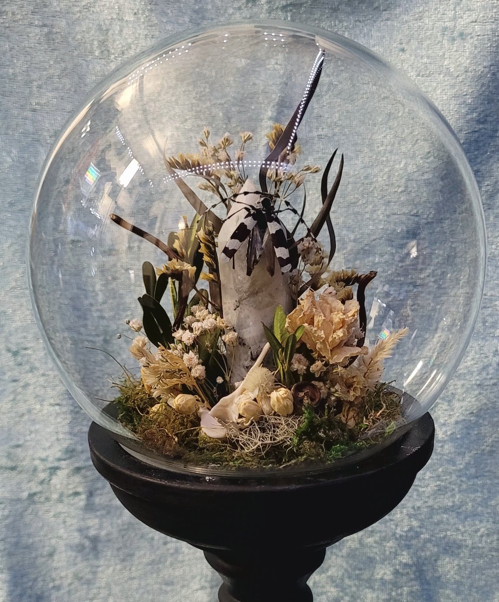 Image of Wood Beetle Dome 