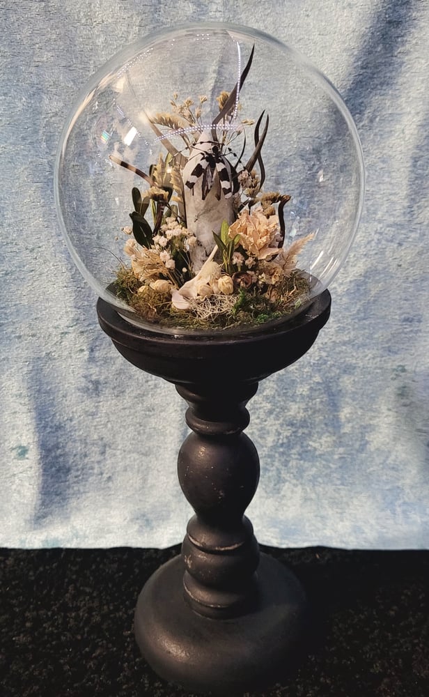 Image of Wood Beetle Dome 