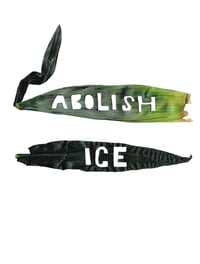 Image 1 of Abolish ICE Print