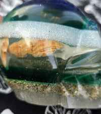 Image 5 of Oceanside Resin Skull