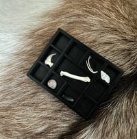 Image 1 of Reliquary (with rat ribs and cat claw)