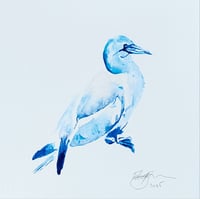 Image 2 of Gannet, blue ink bird original drawing