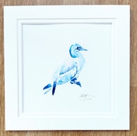 Image 1 of Gannet, blue ink bird original drawing