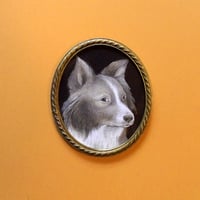 Original retrato Collie