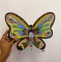 Image 2 of Viola original on wood