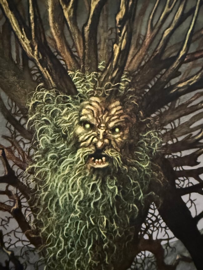 TREEBEARD - Marald van Haasteren