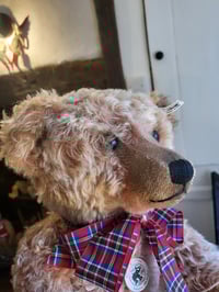 Image 2 of STEIFF  2014 Bear  403156 50cm