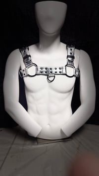 Image 2 of Bulldog Style Chest Harness