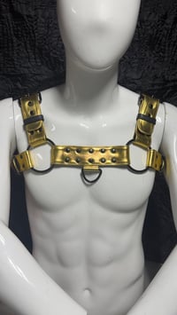 Image 4 of Bulldog Style Chest Harness