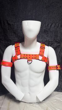 Image 5 of Bulldog Style Chest Harness