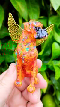 Image 1 of Orange Yellow Aqua Male Boxer Angel 