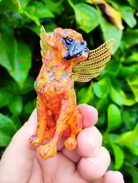 Image 2 of Orange Yellow Aqua Male Boxer Angel 