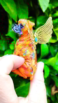 Image 3 of Orange Yellow Aqua Male Boxer Angel 