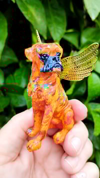 Image 4 of Orange Yellow Aqua Male Boxer Angel 