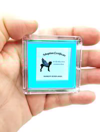 Image 5 of Orange Yellow Aqua Male Boxer Angel 