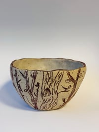 Image 1 of Bowl Forest