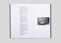 Image 4 of A Million Decaying Tree Stumps 