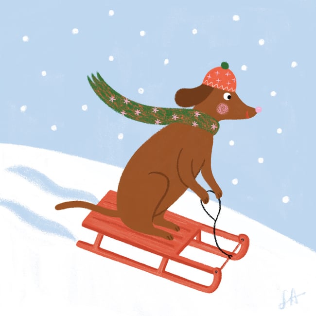 Collection de Noël 2025 : chien sur luge