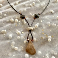 Image 2 of Euphorbia