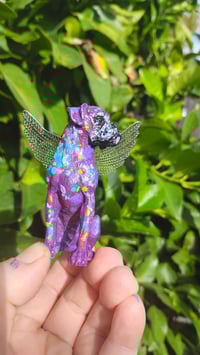 Image 3 of Purple Aqua Female Boxer Angel 