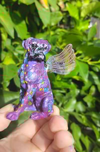 Image 4 of Purple Aqua Female Boxer Angel 