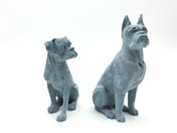 Image 1 of Custom Rainbow Boxer Angel