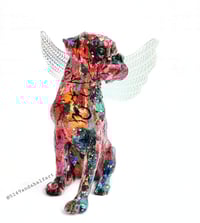 Image 3 of Custom Rainbow Boxer Angel