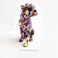 Image 8 of Custom Rainbow Boxer Angel