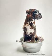 Image 1 of Custom Muddy Boxer