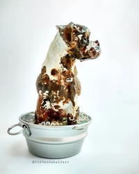 Image 2 of Custom Muddy Boxer