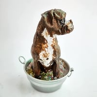 Image 4 of Custom Muddy Boxer