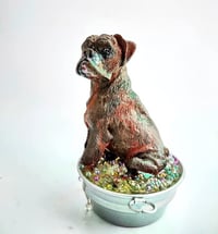 Image 3 of Custom Muddy Boxer