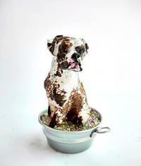 Image 6 of Custom Muddy Boxer