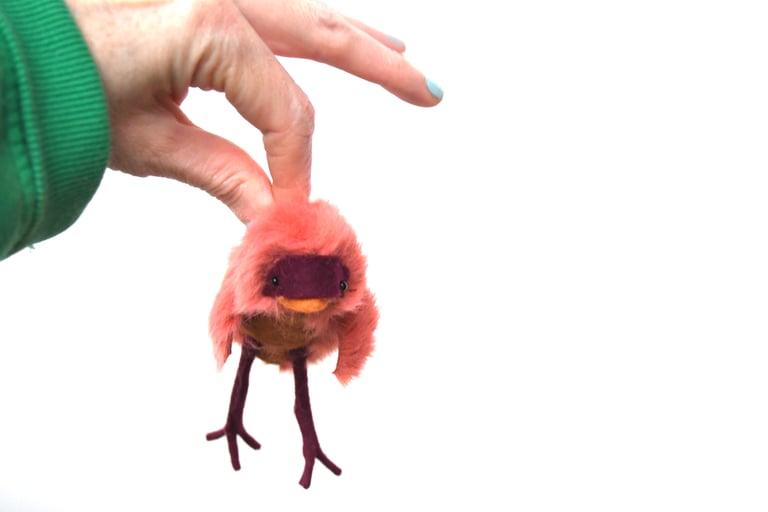 baby cardinal Image 3