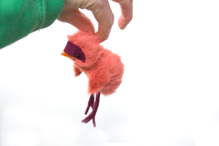 baby cardinal Image 2