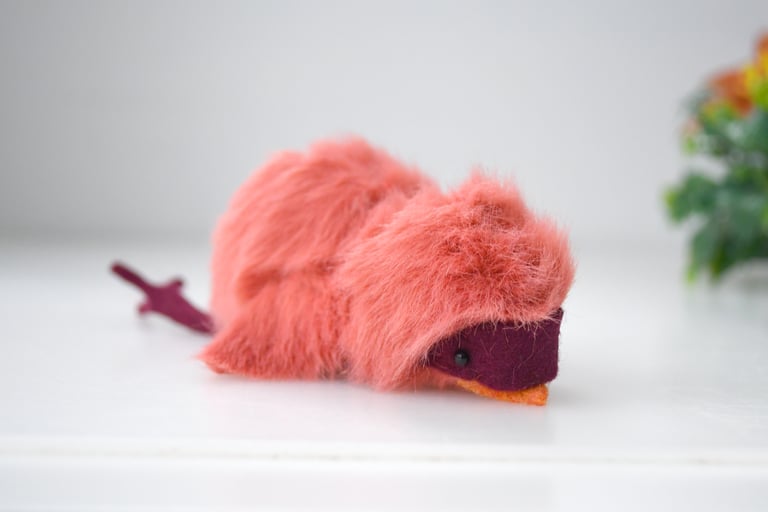 baby cardinal Image 4