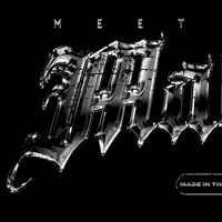 Image 2 of PREORDER: Chrome Logo Hoodie