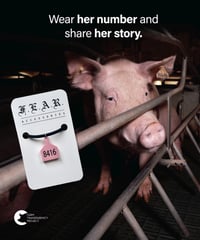 Image 4 of OLIVIA'S TAG NECKLACE - VEGAN SUEDE CHOKER