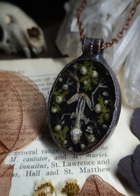 Image 5 of Frog Skeleton and Floral Pendant